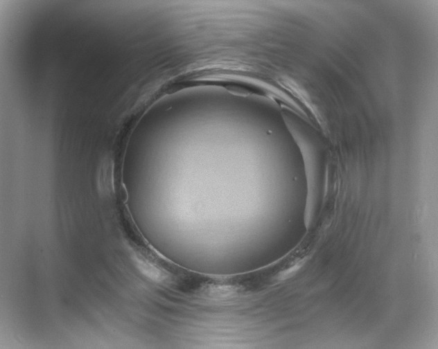 X0000068860205200605051247