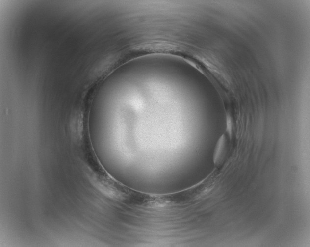 X0000068860206200605051247
