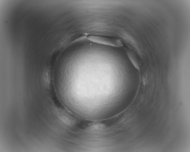 X0000068860210200605051247
