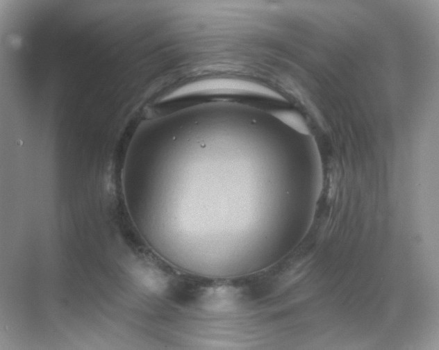 X0000068860212200605051247