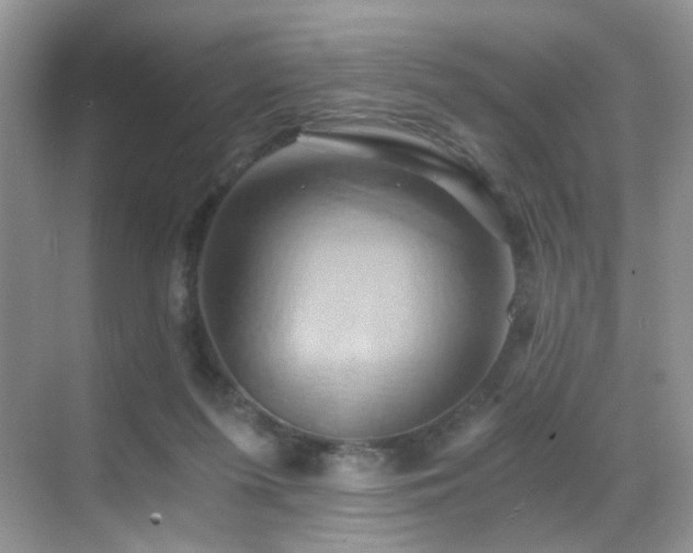 X0000068860215200605051247