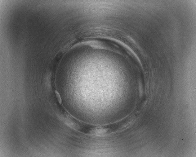 X0000068860217200605051247