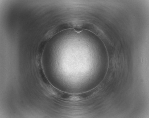 X0000068860218200605051247