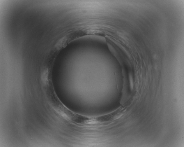 X0000068860219200605051247