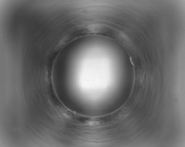 X0000068860220200605051247