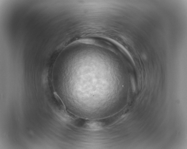 X0000068860221200605051247