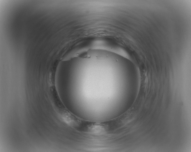 X0000068860224200605051247