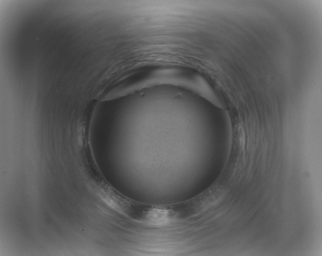 X0000068860227200605051247