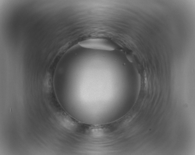 X0000068860228200605051247