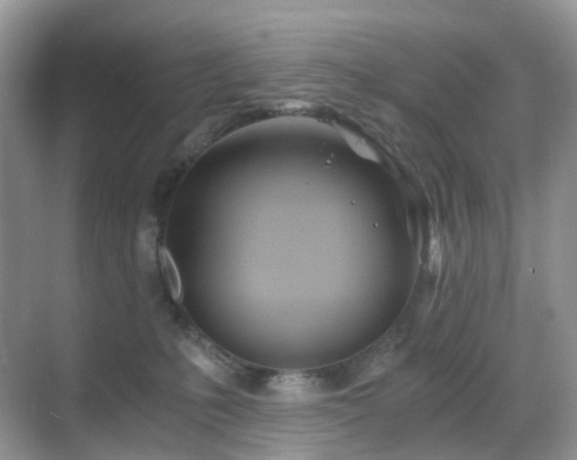 X0000068860231200605051247