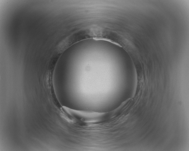 X0000068860233200605051247