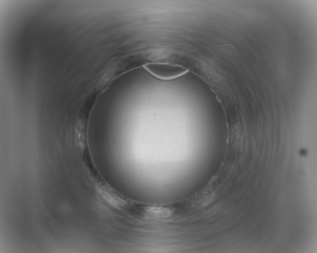 X0000068860234200605051247