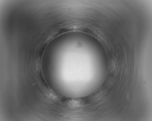 X0000068860236200605051247