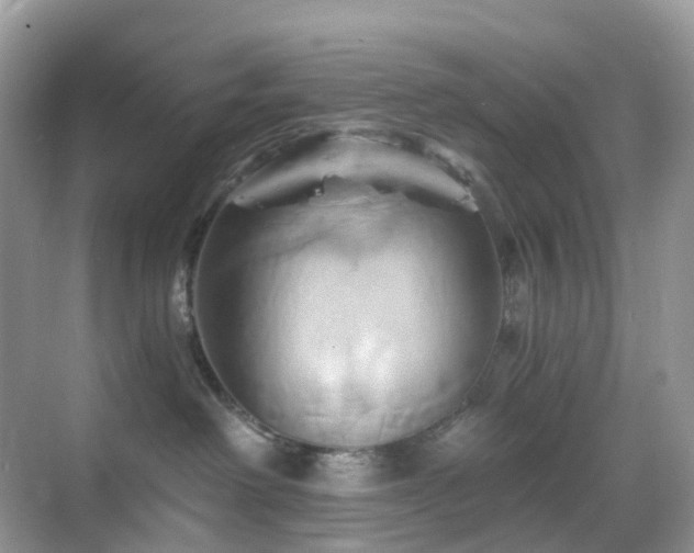 X0000068860238200605051247