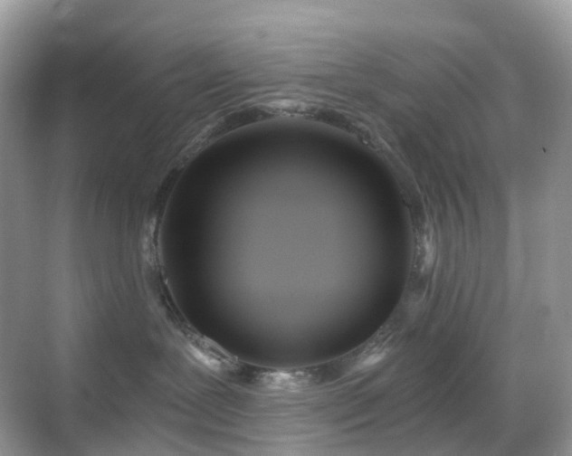 X0000068860239200605051247