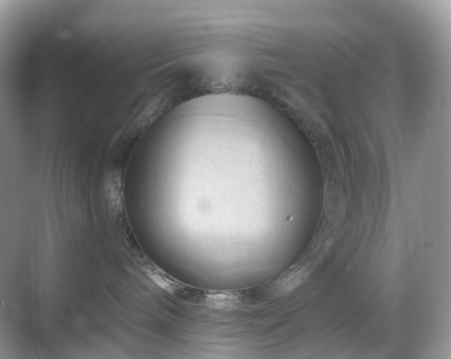 X0000068860240200605051247