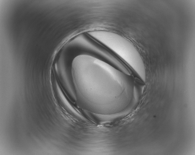 X0000068860244200605051246