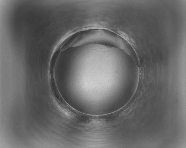 X0000068860248200605051246