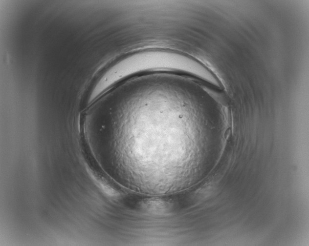 X0000068860253200605051246