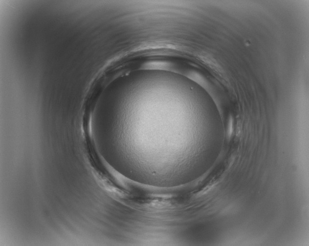 X0000068860256200605051246
