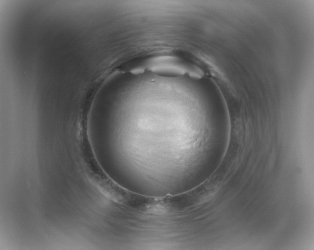 X0000068860259200605051246