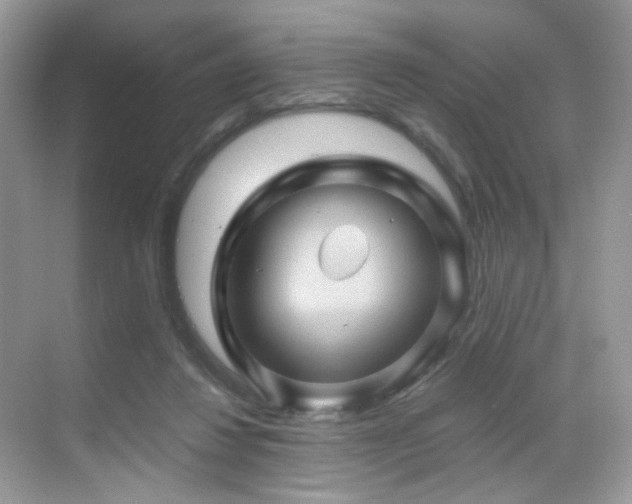 X0000068860260200605051246