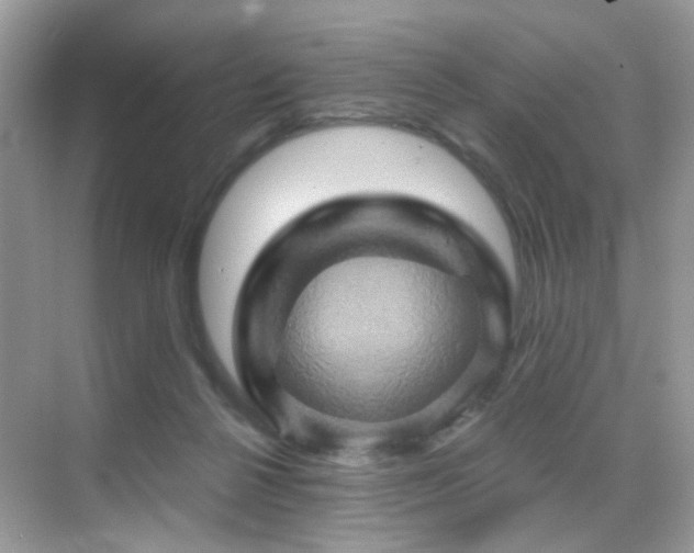 X0000068860264200605051246