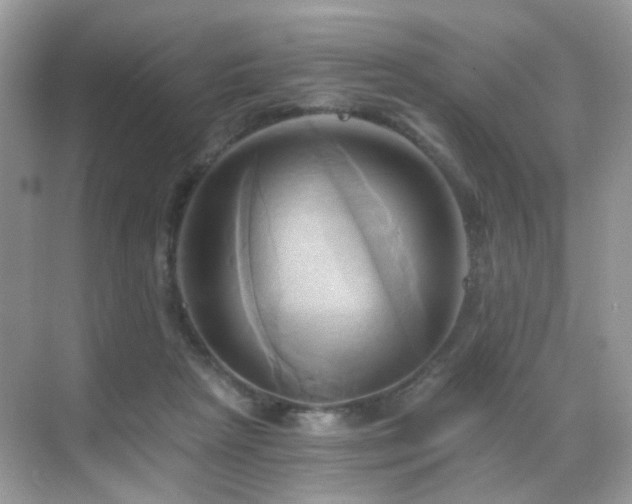 X0000068860265200605051246