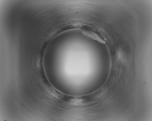 X0000068860266200605051246