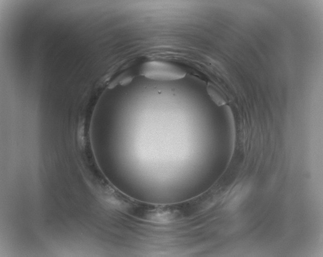 X0000068860267200605051246