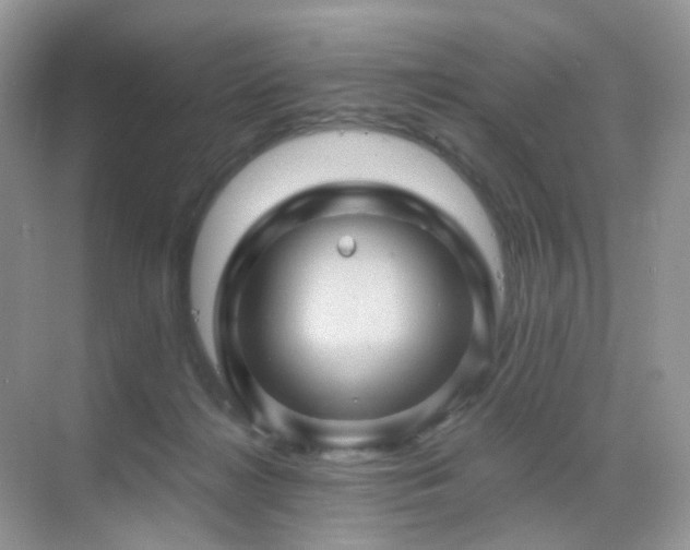 X0000068860268200605051246