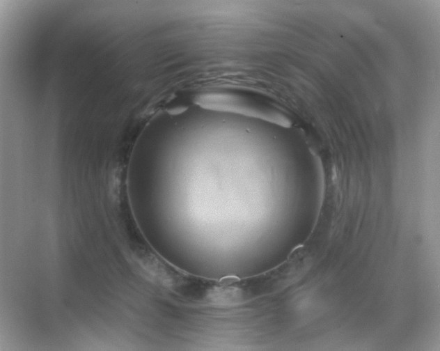 X0000068860271200605051246