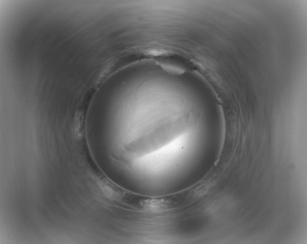 X0000068860273200605051246