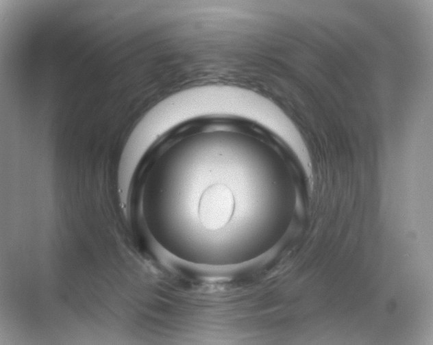 X0000068860276200605051246