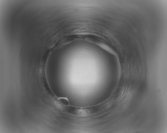 X0000068860277200605051246