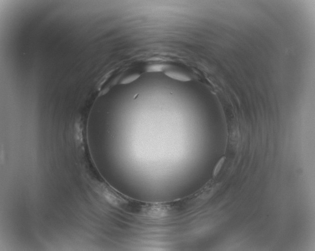 X0000068860282200605051247