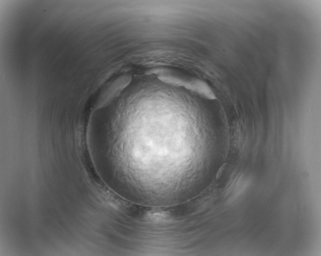 X0000068860283200605051247