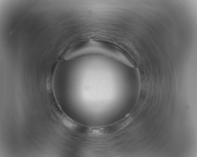 X0000068860285200605051247