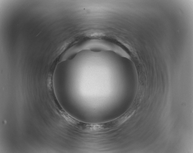 X0000068860288200605051247