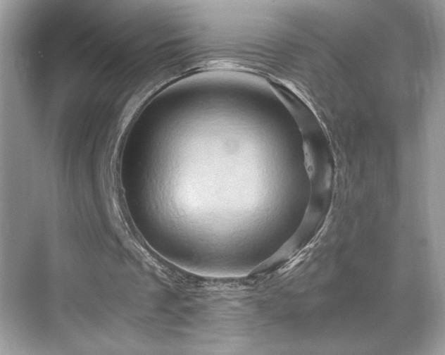X0000068860289200605051246