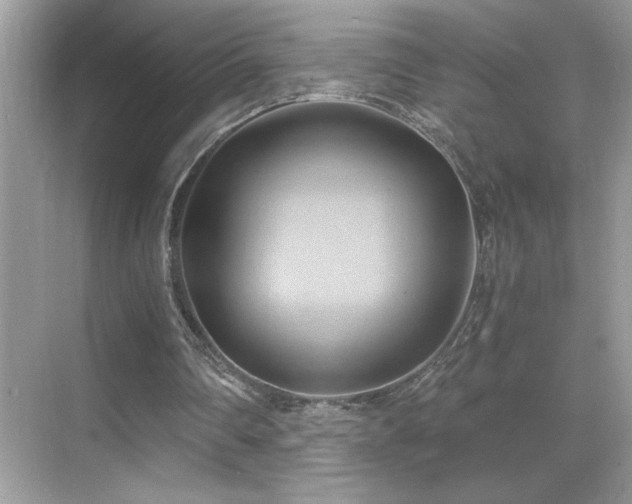 X0000068860290200605051246