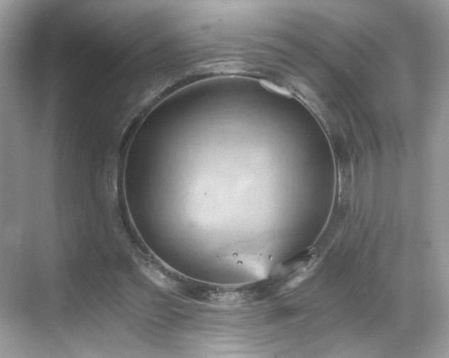 X0000068860301200605051246