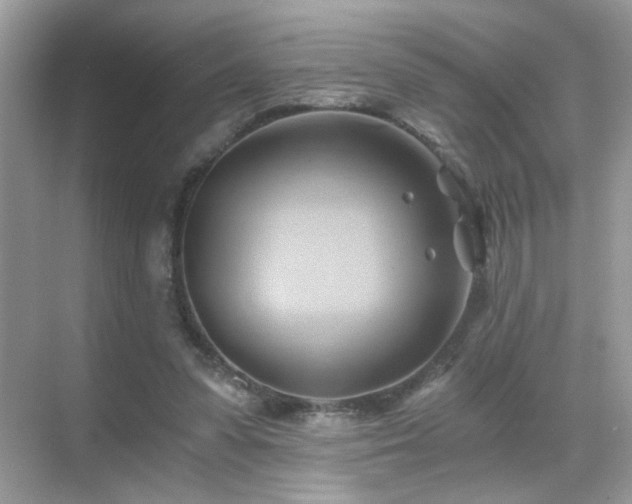 X0000068860303200605051246