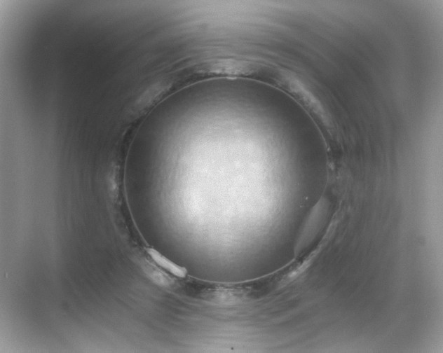 X0000068860305200605051246