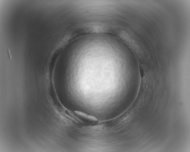 X0000068860306200605051246