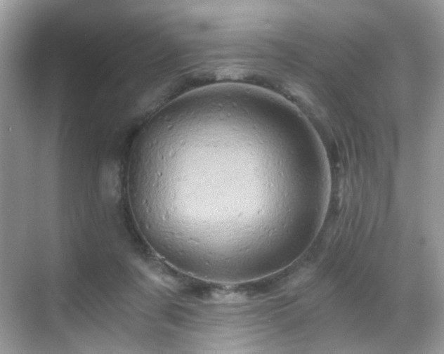 X0000068860311200605051245