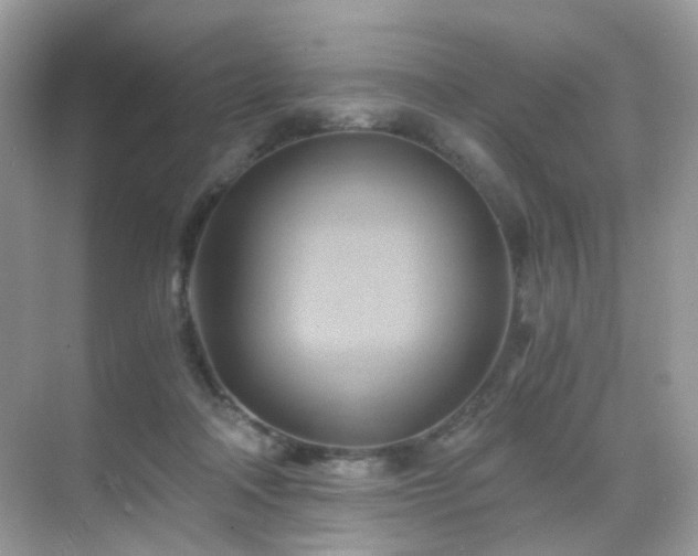 X0000068860314200605051245