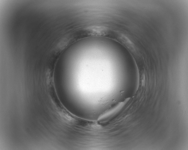 X0000068860318200605051245