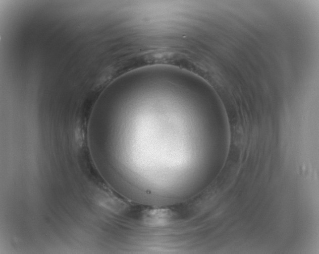 X0000068860324200605051245