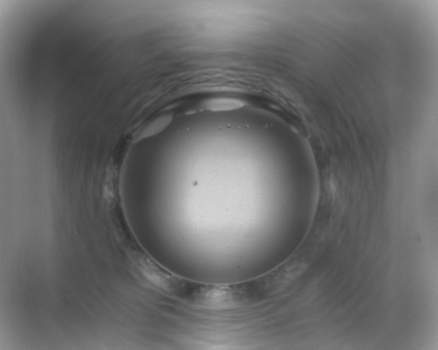 X0000068860325200605051245